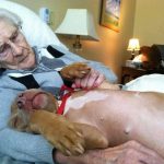 12804209_1129922220365015_204184752_n