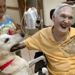 12804319_1129922063698364_206678679_n