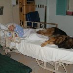 12821966_1129922110365026_257982879_n