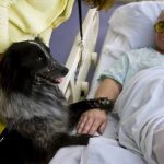 12825407_1129921883698382_627080672_n