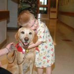 12825463_1129921957031708_1157839339_n