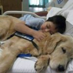 12833265_1129921930365044_1547858308_n