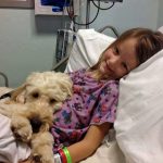 12833439_1129922183698352_1632953098_n