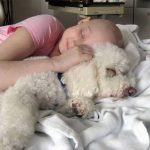 12834450_1129922007031703_2106633249_n