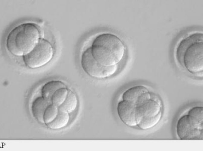 China a declanșat o ANCHETĂ, după ce un medic a modificat genetic embrionii umani și s-au născut primii copii