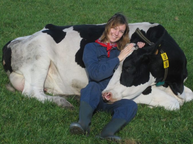 Ultima tendinţă în lupta cu stresul: Cum funcţionează terapia cu vaci