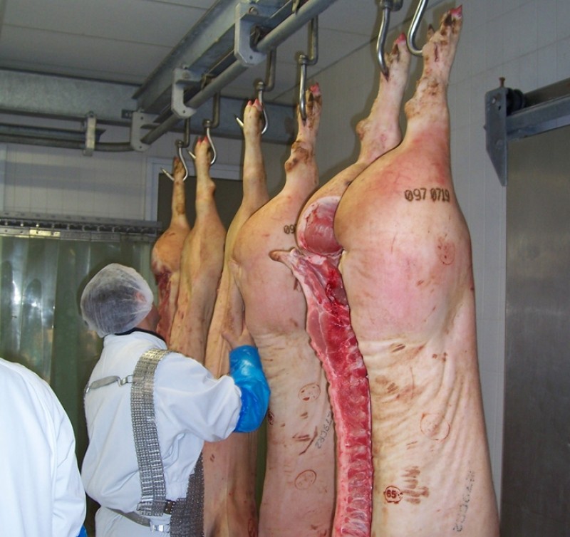 Efectele benefice ale jumărilor