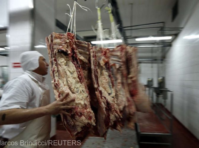 Avertisment ANSVSA: Carnea de porc din zonele afectate de pesta porcină africană nu poate fi transportată în statele membre UE