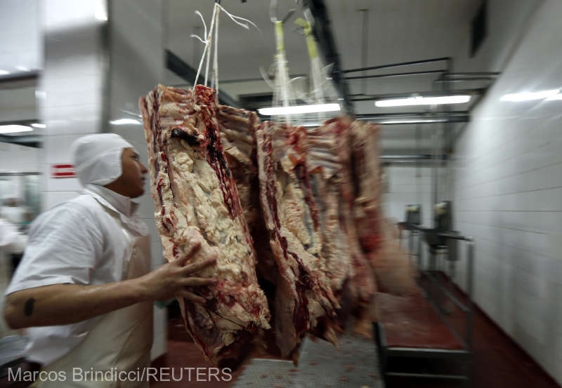 Avertisment ANSVSA: Carnea de porc din zonele afectate de pesta porcină africană nu poate fi transportată în statele membre UE