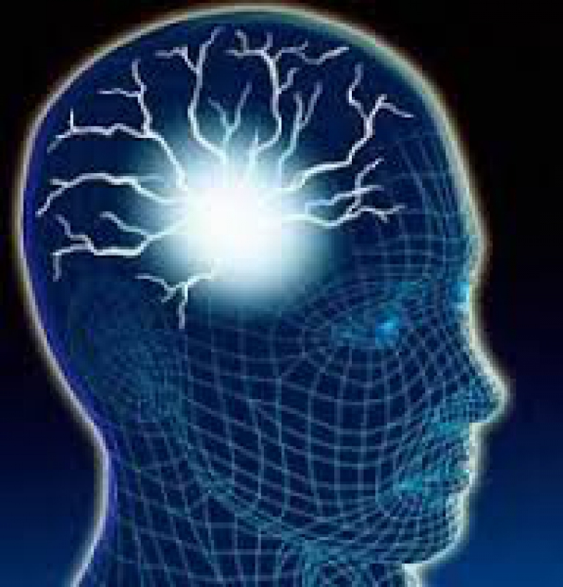 Cercetătorii au identificat mecanismul creierului care îi determină pe oameni să se scarpine