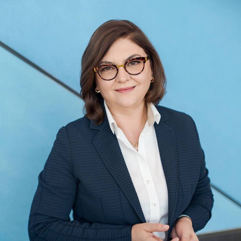 Europarlamentarului PNL Adina Vălean: Pacienții europeni nu trebuie să sufere în cazul unui no deal Brexit