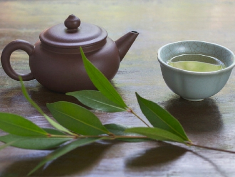 Beneficiile neștiute ale frunzelor de dafin și care sunt contraindicațiile