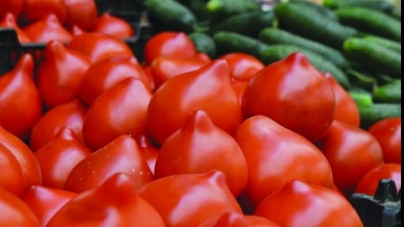 Unde să păstrăm roșiile pentru a-și păstra gustul