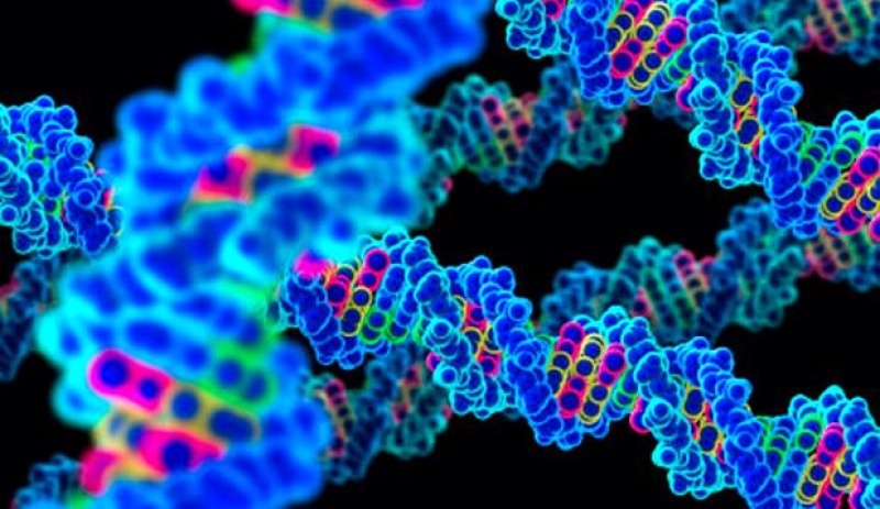 Chinezii continuă testele genetice pe oameni. Al doilea bebeluş modificat genetic ar avea între 12 şi 14 săptămâni de gestaţie (sursă ştiinţifică)