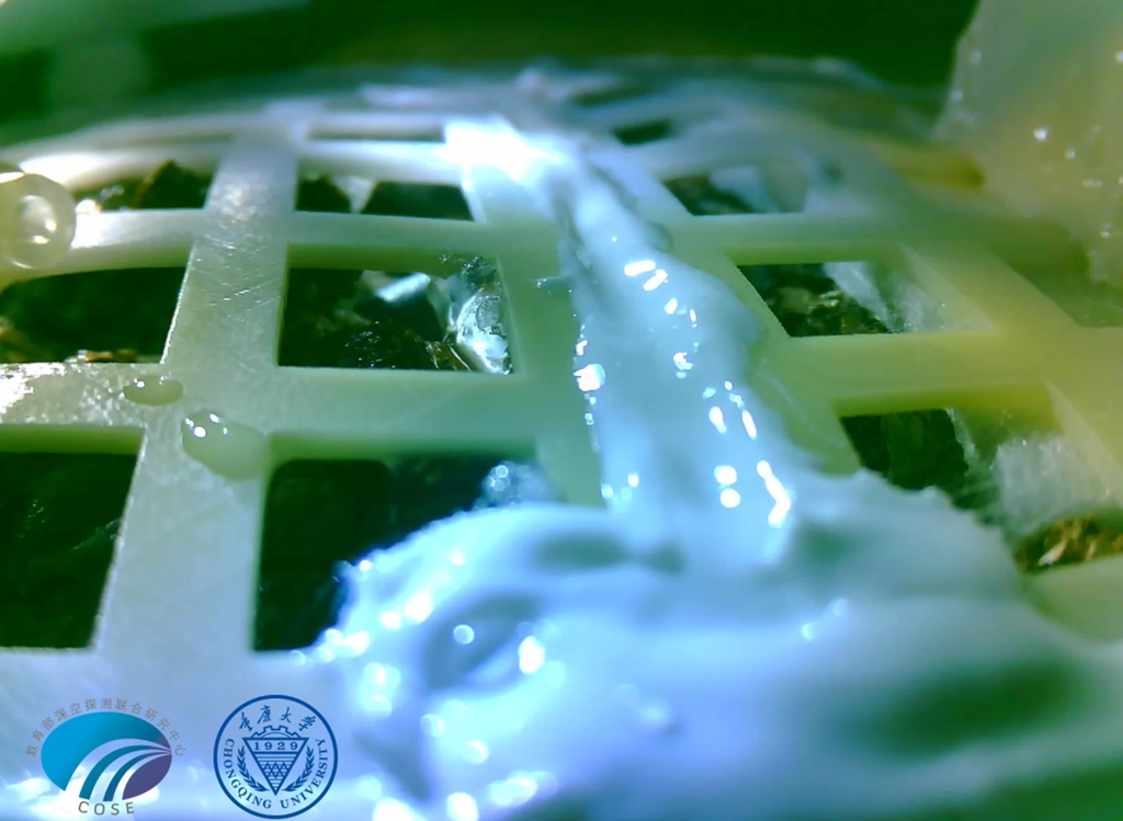 Experiment istoric! Ce s-a întâmplat cu semințele care au încolțit pe Lună