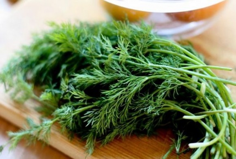 Uleiul de mărar și beneficiile sale pentru sănătate