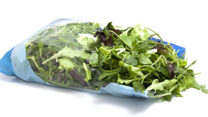 LĂPTUCA, cea mai misterioasă plantă a primăverii - Care sunt avantajele ei