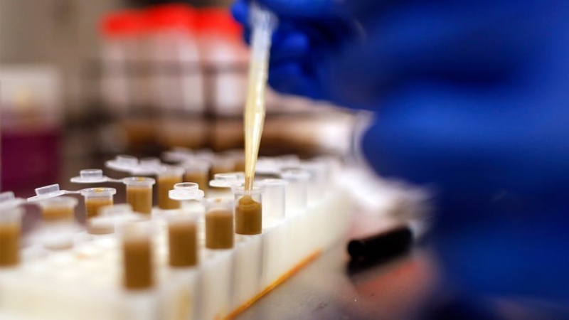 Transplantul de materii fecale, subiect de dispută între industria farmaceutică și doctori (New York Times)