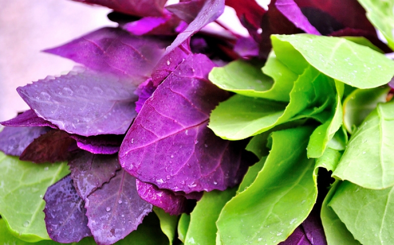 Verdețurile care ne ajută să slăbim și să alungăm pofta de dulce