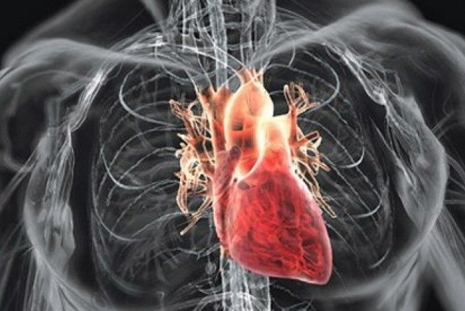 Prermieră medicală în Israel - Prima inimă umană vascularizată realizată cu ajutorul unei imprimante 3D