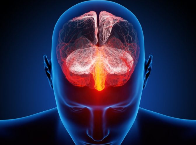 Cum poate supraviețui creierul uman unei intervenții extrem de dificile