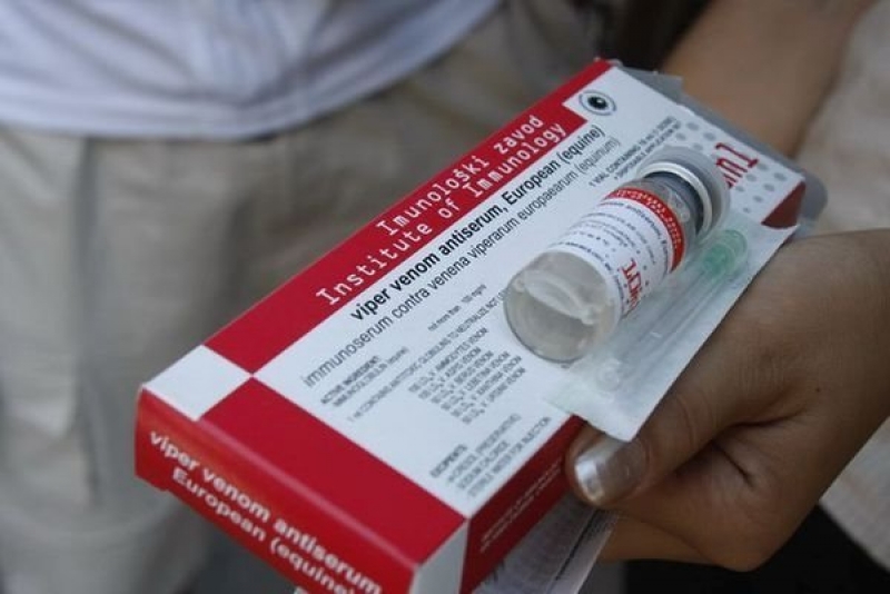 În ceasul al 12-lea, a fost adus avtiviperinul, dar, doar pentru urgenţe: Zilele trecute un copil de 10 ani era să moară pentru că serul nu era de găsit