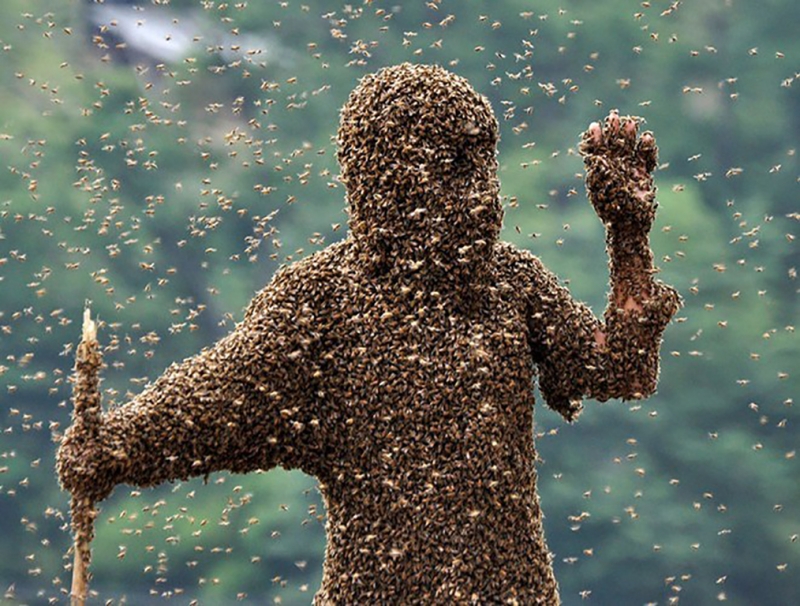 Super-medicamentul natural care vindecă o mulțime de boli - Care sunt efectele și contraindicațiile