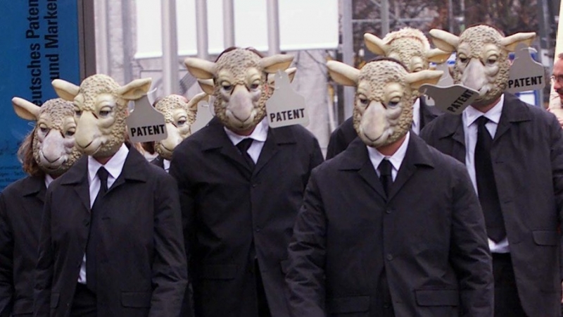 PREMIERĂ Japonia a probat cultivarea de organe umane în corpuri de animale