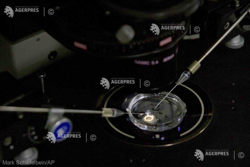 Cercetători spanioli au descoperit o proteină care evită deteriorarea celulară şi întârzie îmbătrânirea