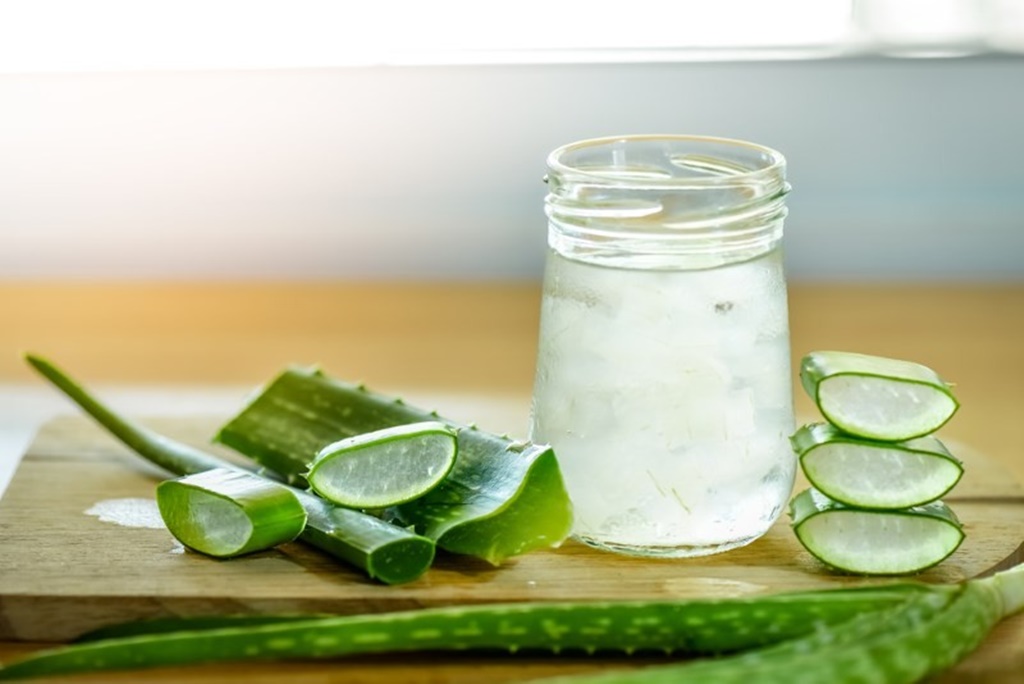 Ce boli tratează, de fapt, aloe vera: Cum se poate folosi planta pentru uz intern şi extern