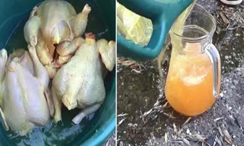 Pui de țară demascați - Mai mulți comercianți vindeau carne de pasăre colorată cu o substanță galbenă