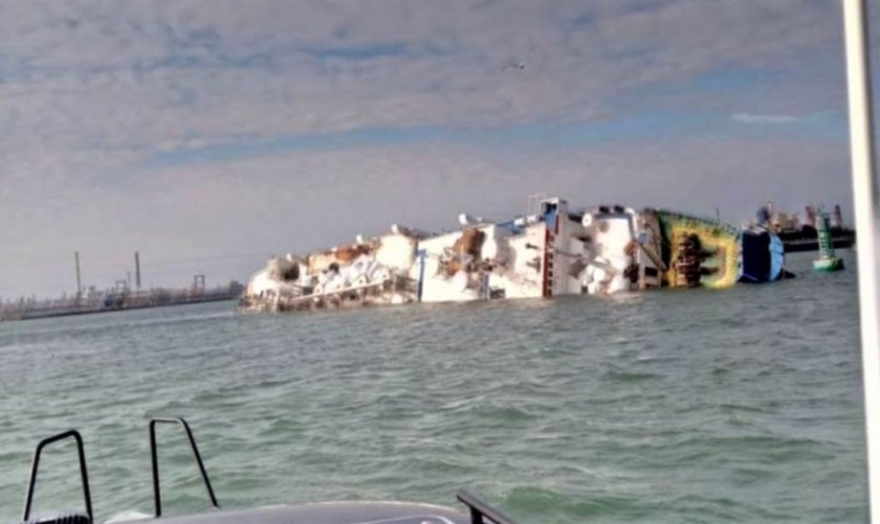 Măsuri dispuse și întreprinse de ANSVSA în cazul oilor aflate pe nava scufundată în portul Midia