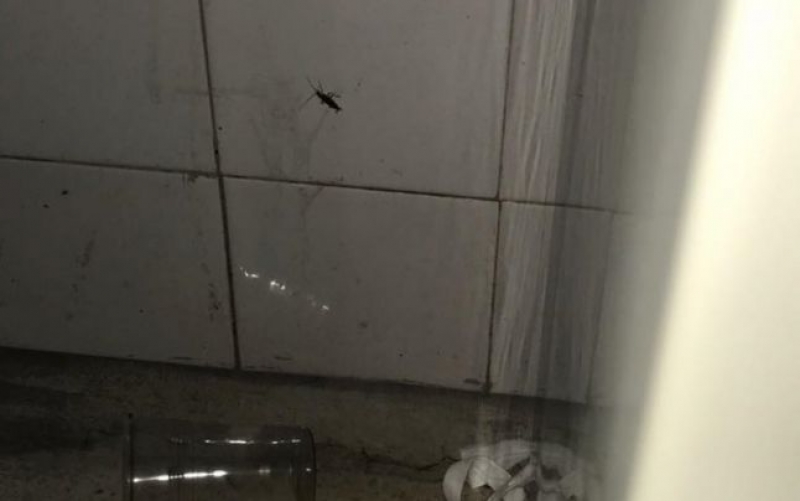 Imagini de groază la Spitalul Județean de Urgență Brașov: mizerie și capace de WC furate