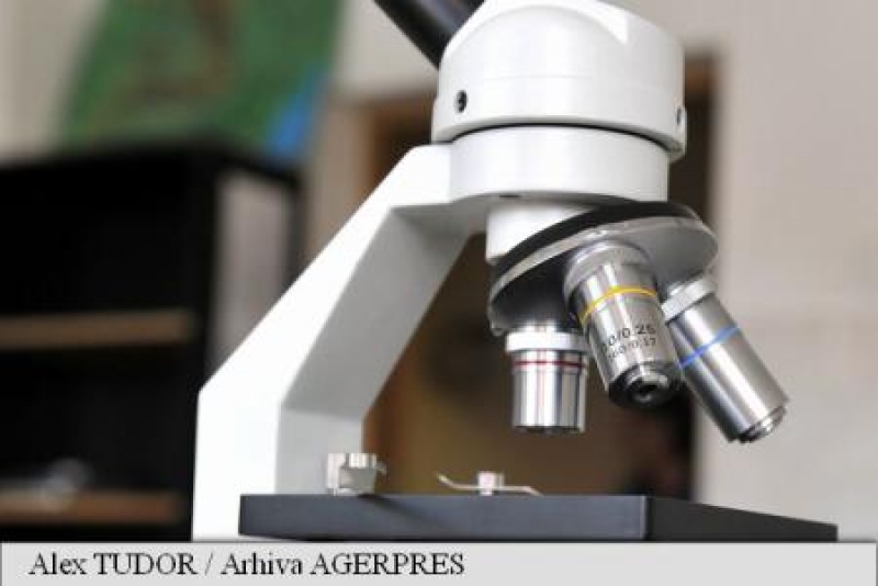 Un pas înainte către dezvoltarea unor potenţiale medicamente contra virusului letal Nipah