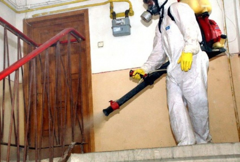 Control de urgenţă după ce la Spitalul Judeţean Arad s-au prezentat 20 elevi afectati de măsurile de dezinsecție