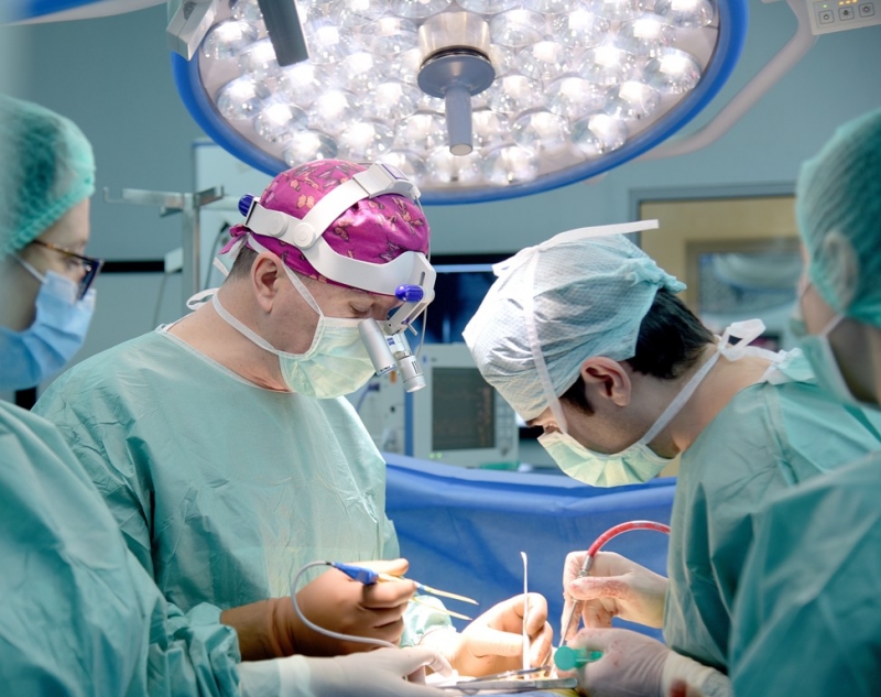 Diferența între viață și 'neviață'