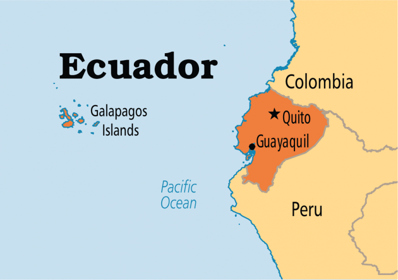 Ecuadorul a confirmat primul caz de Covid-19
