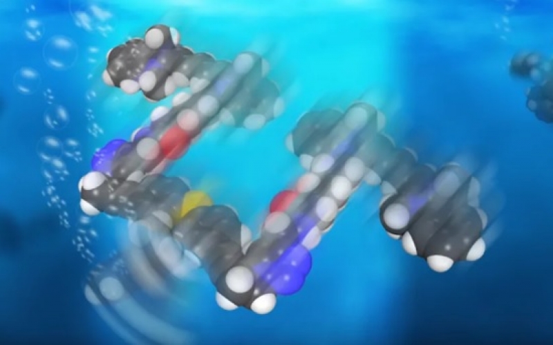 TRATAMENT SF pentru o boală ce se activează la consumul de cereale şi provoacă diaree - Ce compus al viitorului este introdus în lupta cu boala de cercetători