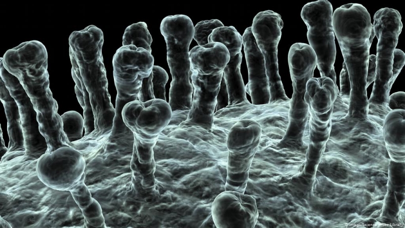 Experții în epidemiologie prezintă cifre alarmante privind viteză de răspândire a infecției cu COVID-19: 400 de îmbolnăviţi pentru fiecare mort